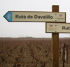 La ruta del vino